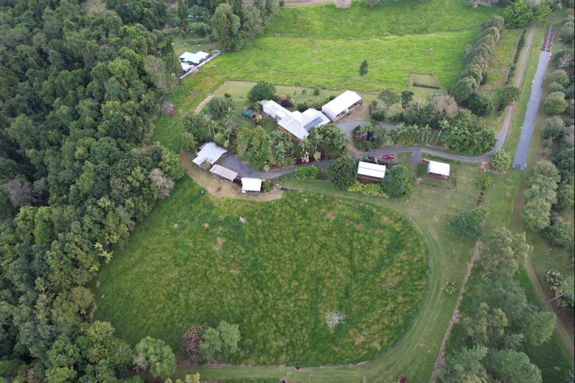 Mena Creek Flower House エクステリア 写真
