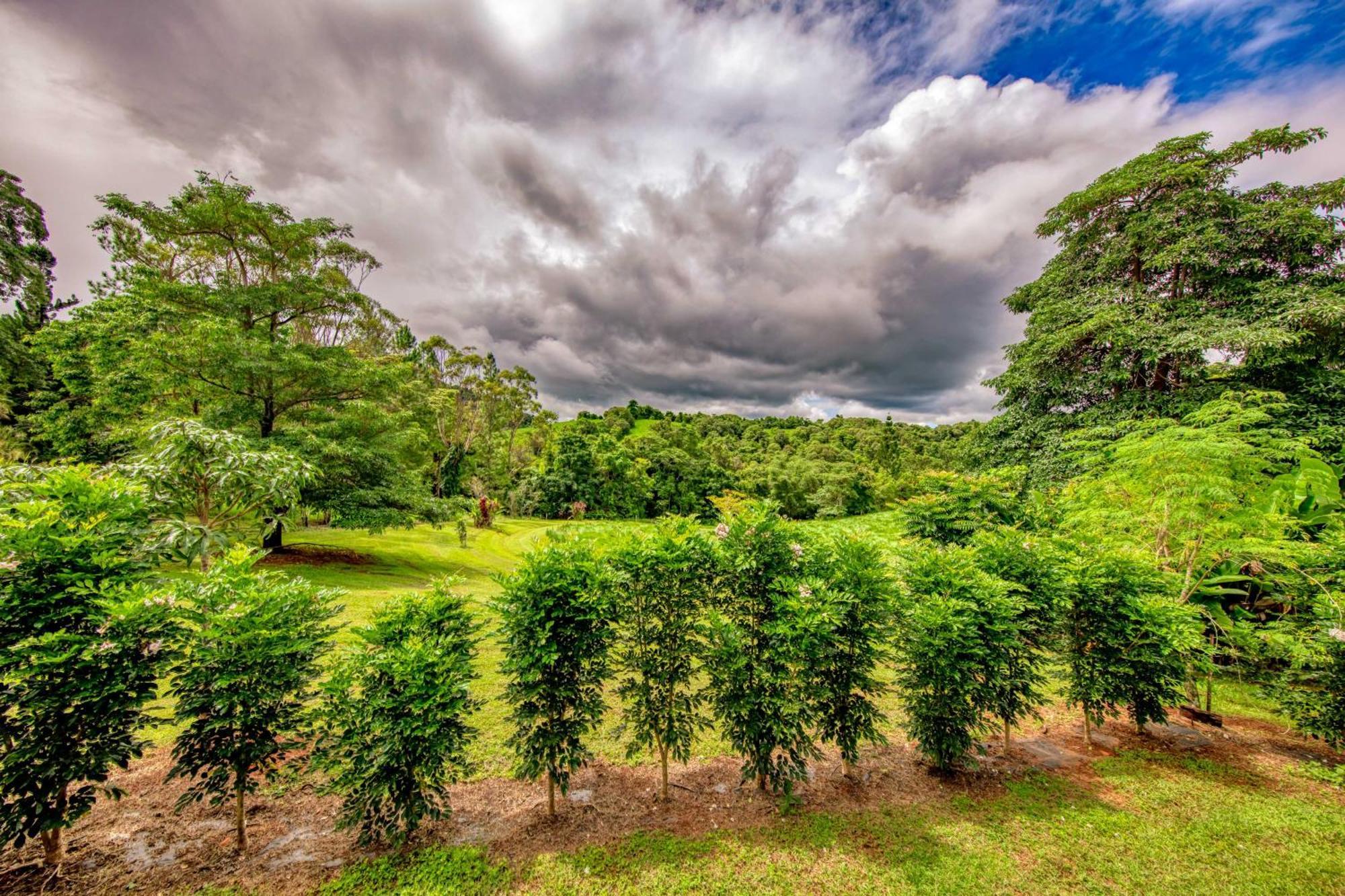 Mena Creek Flower House エクステリア 写真