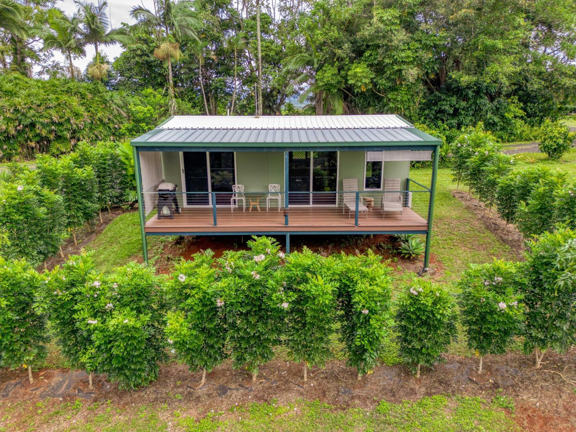 Mena Creek Flower House エクステリア 写真