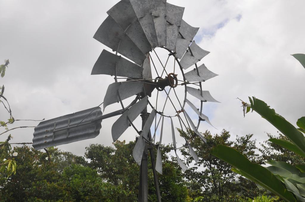 Mena Creek Flower House エクステリア 写真