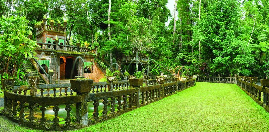 Mena Creek Flower House エクステリア 写真